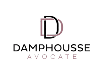 cropped logo vide.png